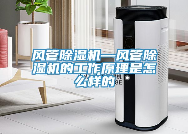 亚洲人成综合第一网站 风管除湿机—风管除湿机的工作原理是怎么样的