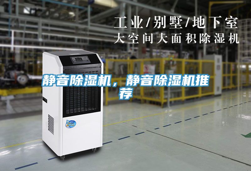 亚洲欧美一级特黄大片 静音除湿机，静音除湿机推荐