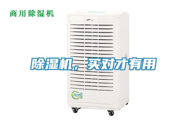 亚洲人成综合第一网站 除湿机，买对才有用