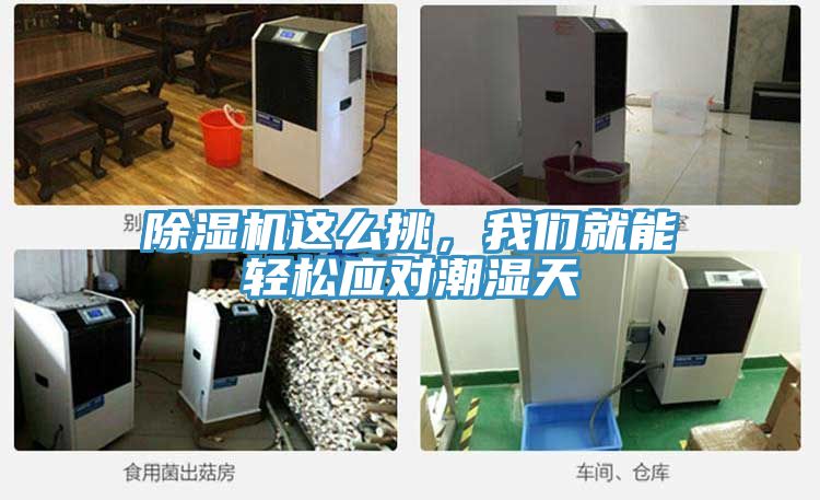 亚洲乱码一区二区三区 除湿机这么挑，我们就能轻松应对潮湿天