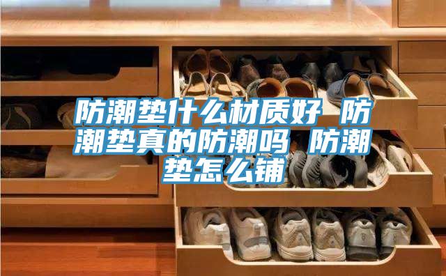 亚洲人成综合第一网站 防潮垫什么材质好 防潮垫真的防潮吗 防潮垫怎么铺