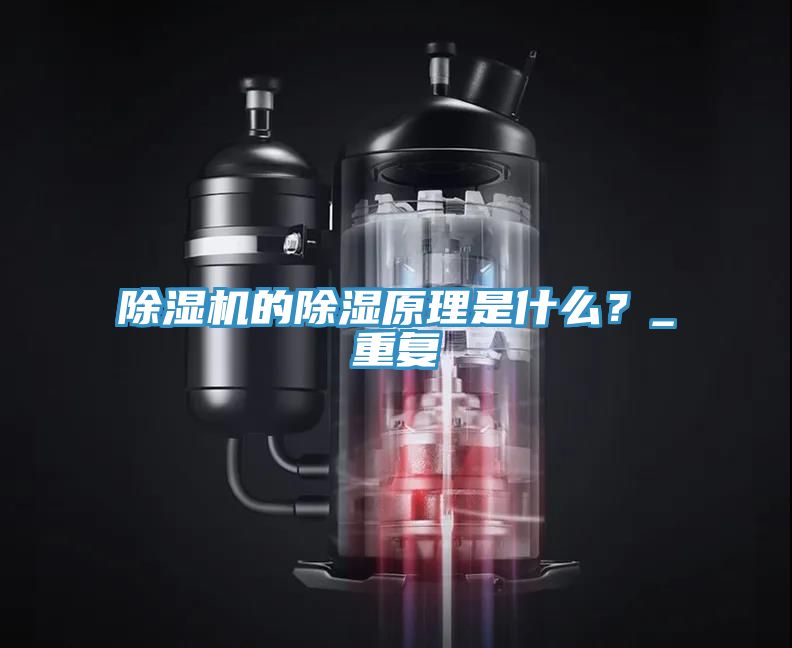 亚洲人成综合第一网站 除湿机的除湿原理是什么？_重复