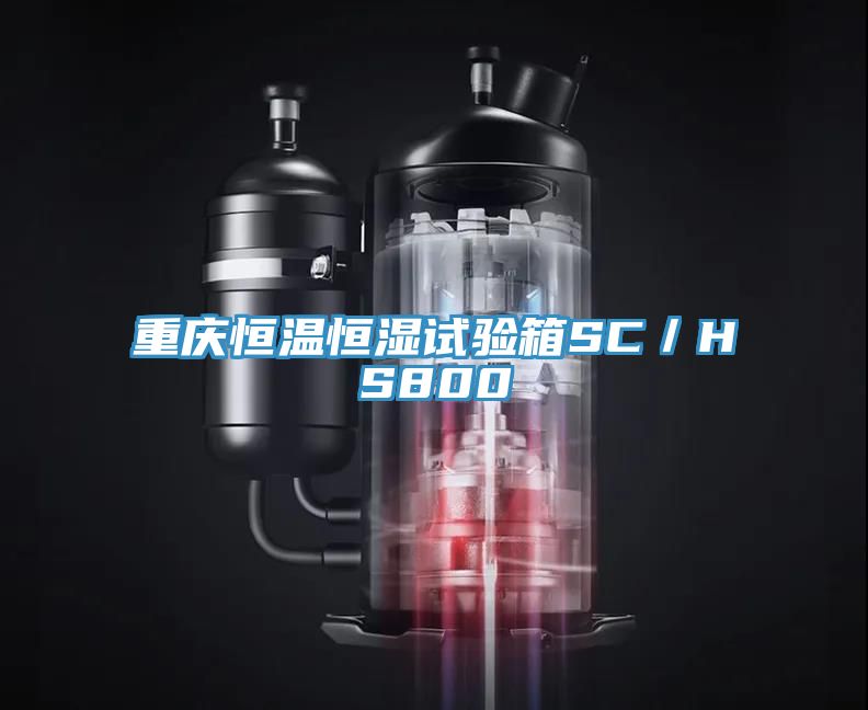 亚洲欧美一级特黄大片 重庆恒温恒湿试验箱SC／HS800