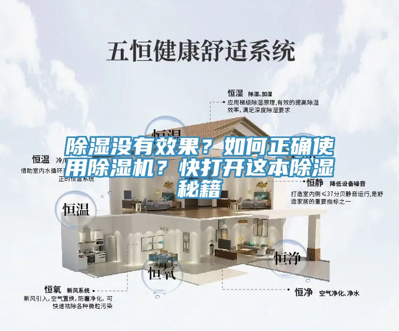 亚洲欧美一级特黄大片 除湿没有效果？如何正确使用除湿机？快打开这本除湿秘籍