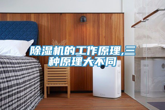 亚洲人成综合第一网站 除湿机的工作原理,三种原理大不同