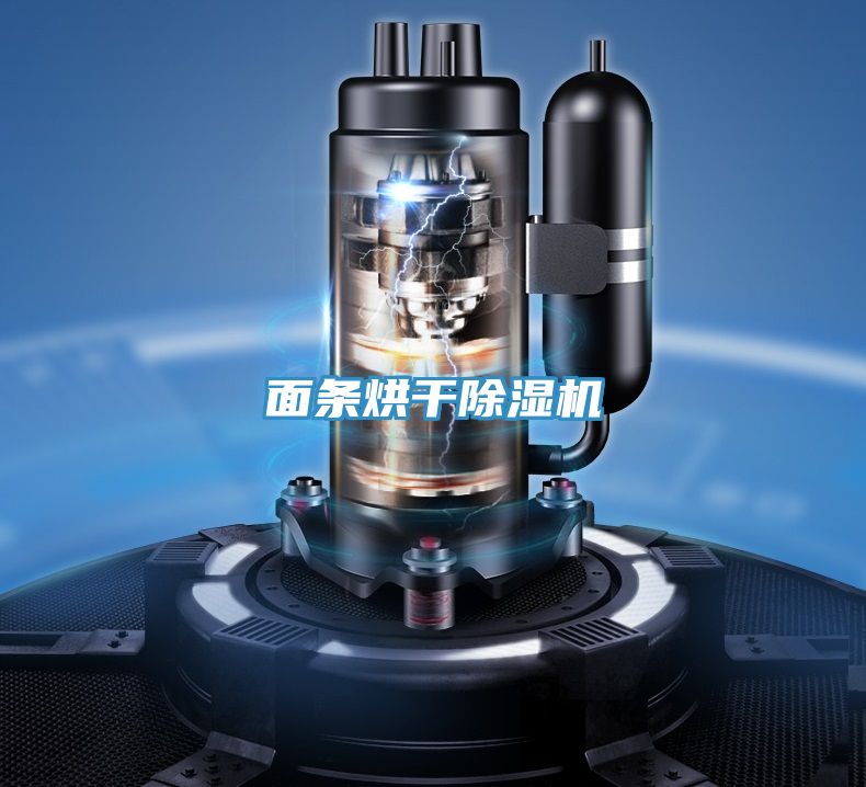 亚洲欧美一级特黄大片 面条烘干除湿机