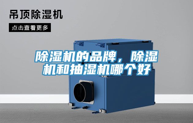 亚洲欧美一级特黄大片 除湿机的品牌，除湿机和抽湿机哪个好