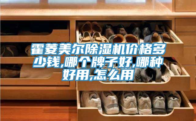 亚洲欧美一级特黄大片 霍菱美尔除湿机价格多少钱,哪个牌子好,哪种好用,怎么用