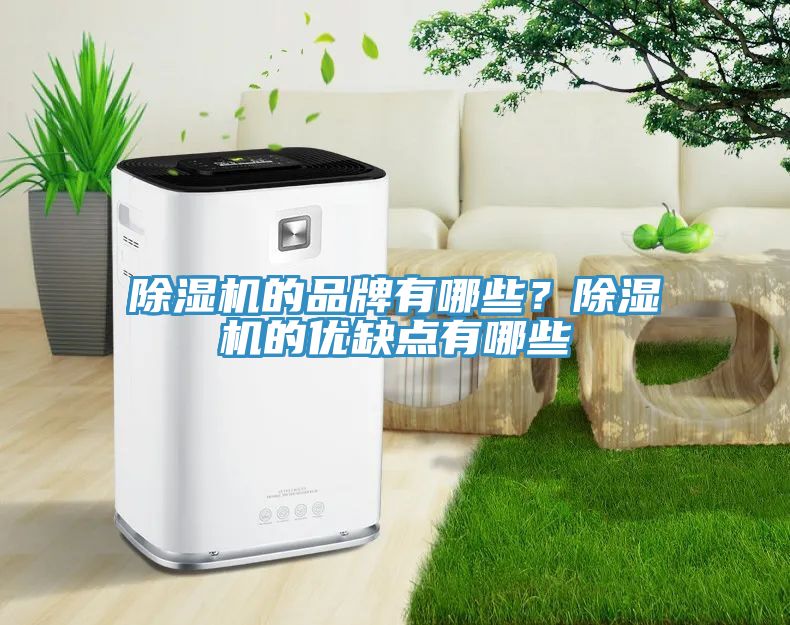 亚洲人成综合第一网站 除湿机的品牌有哪些？除湿机的优缺点有哪些