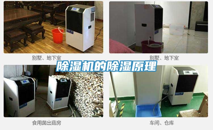亚洲人成综合第一网站 除湿机的除湿原理