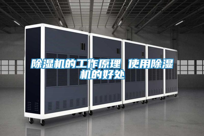 亚洲欧美一级特黄大片 除湿机的工作原理 使用除湿机的好处