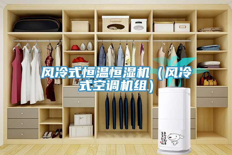 亚洲乱码一区二区三区 风冷式恒温恒湿机（风冷式空调机组）