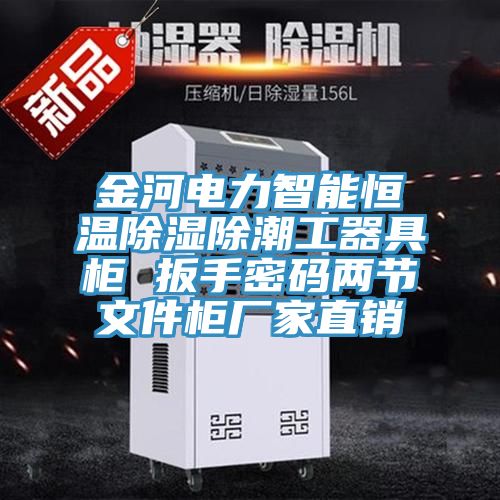 亚洲乱码一区二区三区 金河电力智能恒温除湿除潮工器具柜 扳手密码两节文件柜厂家直销