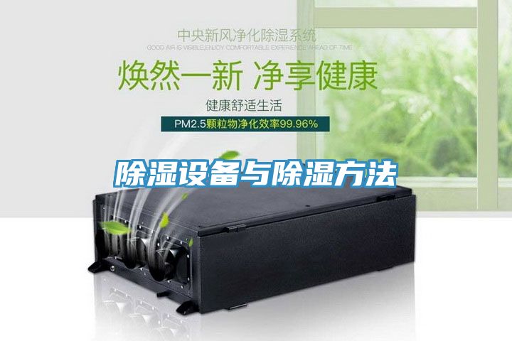 亚洲欧美一级特黄大片 除湿设备与除湿方法