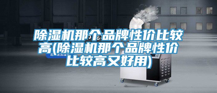 亚洲欧美一级特黄大片 除湿机那个品牌性价比较高(除湿机那个品牌性价比较高又好用)