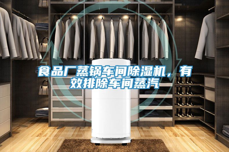亚洲乱码一区二区三区 食品厂蒸锅车间除湿机，有效排除车间蒸汽