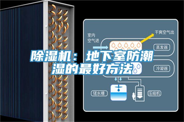 亚洲乱码一区二区三区 除湿机：地下室防潮湿的最好方法