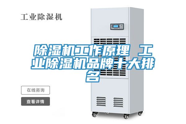 亚洲人成综合第一网站 除湿机工作原理 工业除湿机品牌十大排名