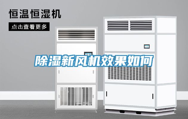 亚洲欧美一级特黄大片 除湿新风机效果如何