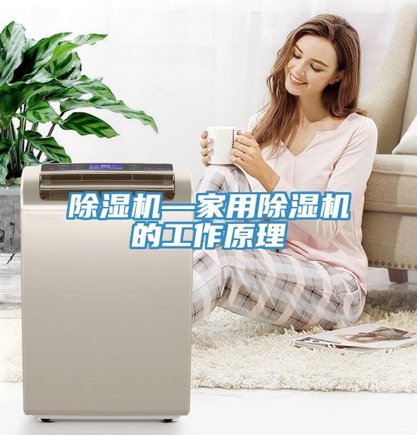亚洲人成综合第一网站 除湿机—家用除湿机的工作原理