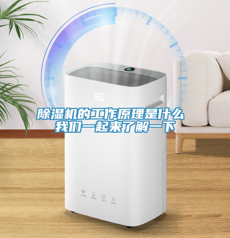 亚洲乱码一区二区三区 除湿机的工作原理是什么 我们一起来了解一下