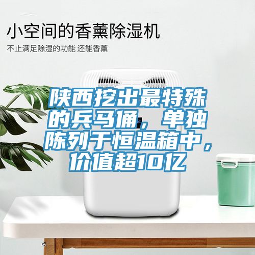 亚洲欧美一级特黄大片 陕西挖出最特殊的兵马俑，单独陈列于恒温箱中，价值超10亿