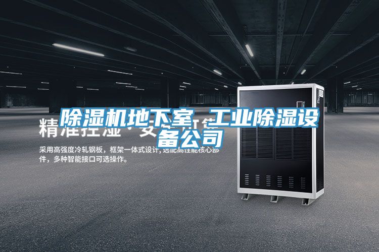 亚洲人成综合第一网站 除湿机地下室 工业除湿设备公司