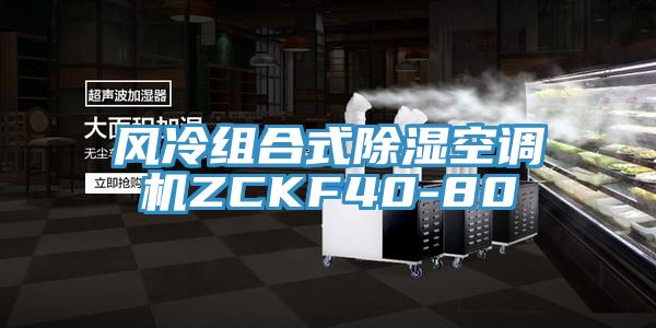 亚洲欧美一级特黄大片 风冷组合式除湿空调机ZCKF40-80