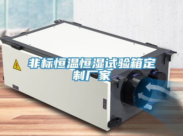 亚洲人成综合第一网站 非标恒温恒湿试验箱定制厂家