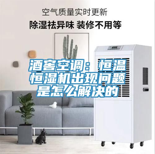 亚洲乱码一区二区三区 酒窖空调：恒温恒湿机出现问题是怎么解决的