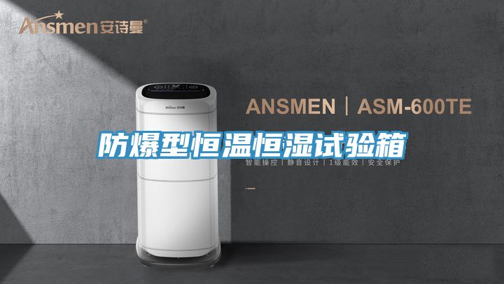 亚洲人成综合第一网站 防爆型恒温恒湿试验箱