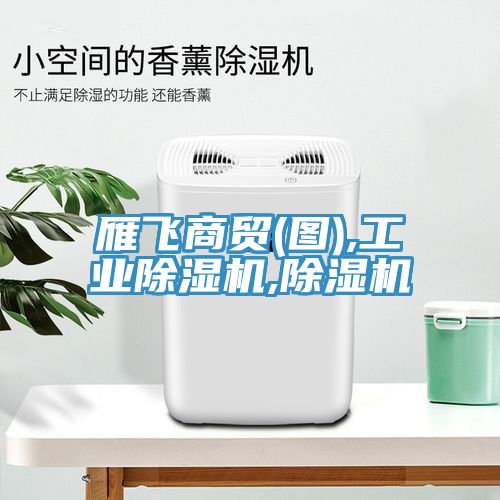 亚洲乱码一区二区三区 雁飞商贸(图),工业除湿机,除湿机