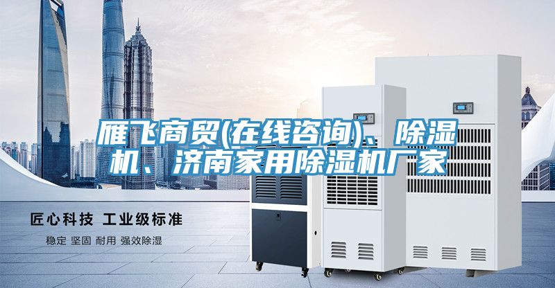 亚洲欧美一级特黄大片 雁飞商贸(在线咨询)、除湿机、济南家用除湿机厂家