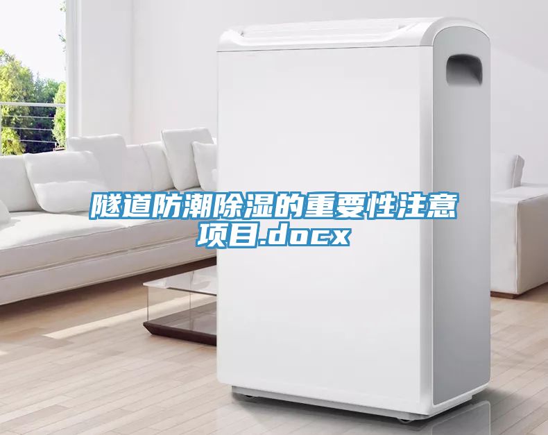 亚洲欧美一级特黄大片 隧道防潮除湿的重要性注意项目.docx