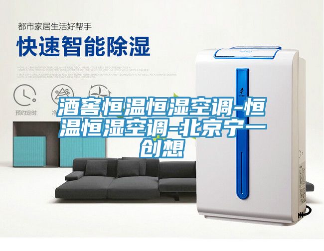亚洲乱码一区二区三区 酒窖恒温恒湿空调-恒温恒湿空调-北京宁一创想