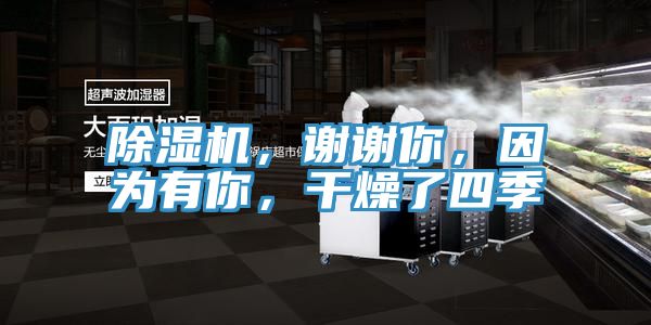 亚洲欧美一级特黄大片 除湿机，谢谢你，因为有你，干燥了四季