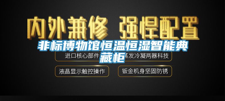 亚洲人成综合第一网站 非标博物馆恒温恒湿智能典藏柜