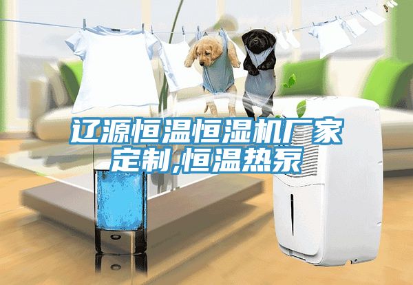 亚洲乱码一区二区三区 辽源恒温恒湿机厂家定制,恒温热泵