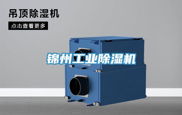 亚洲欧美一级特黄大片 锦州工业除湿机