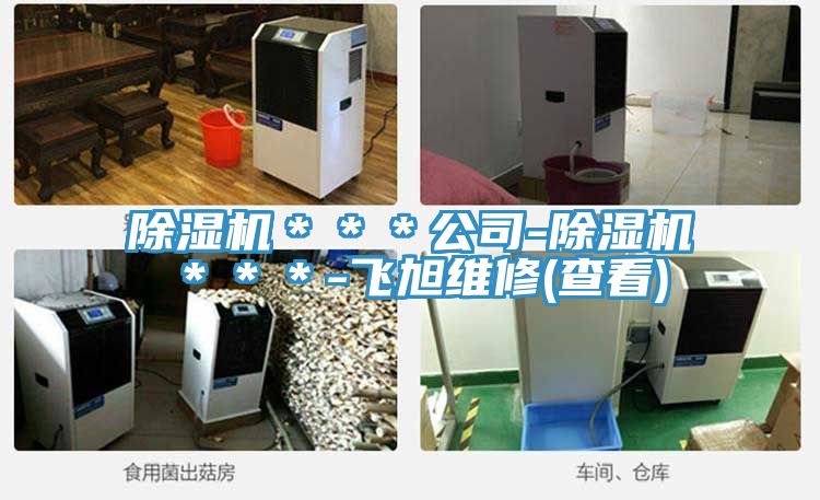 亚洲乱码一区二区三区 除湿机＊＊＊公司-除湿机＊＊＊-飞旭维修(查看)