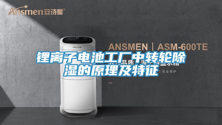 亚洲欧美一级特黄大片 锂离子电池工厂中转轮除湿的原理及特征