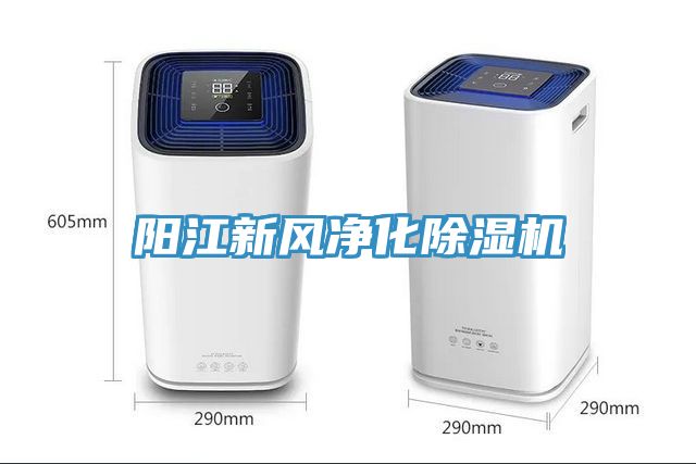 亚洲欧美一级特黄大片 阳江新风净化除湿机