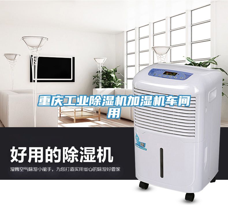 亚洲欧美一级特黄大片 重庆工业除湿机加湿机车间用