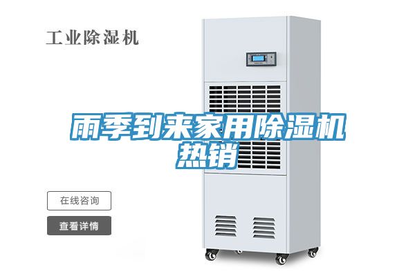 亚洲人成综合第一网站 雨季到来家用除湿机热销