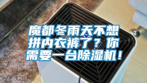 亚洲人成综合第一网站 魔都冬雨天不想拼内衣裤了？你需要一台除湿机！