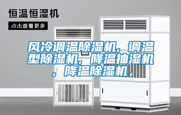 亚洲欧美一级特黄大片 风冷调温除湿机, 调温型除湿机, 降温抽湿机，降温除湿机，