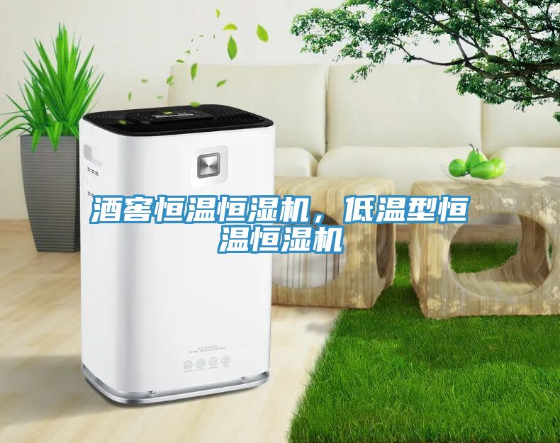 亚洲乱码一区二区三区 酒窖恒温恒湿机，低温型恒温恒湿机