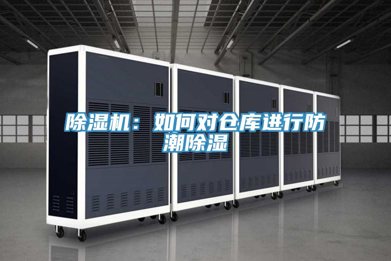 亚洲欧美一级特黄大片 除湿机：如何对仓库进行防潮除湿