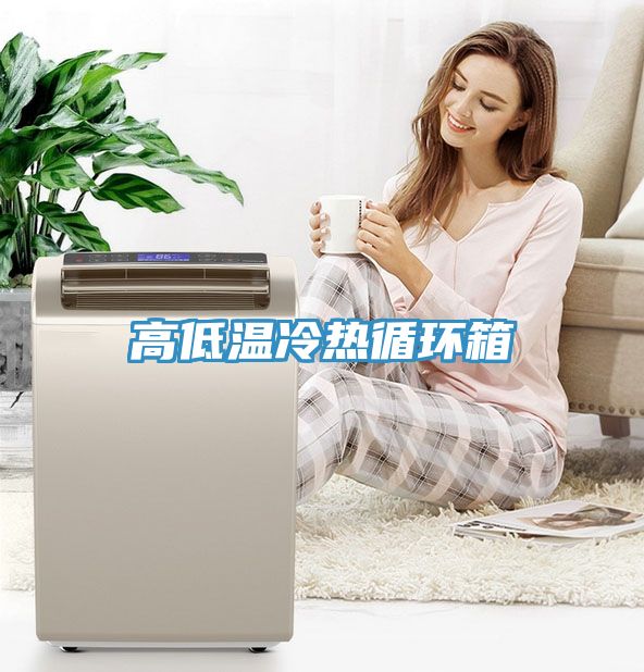 亚洲人成综合第一网站 高低温冷热循环箱