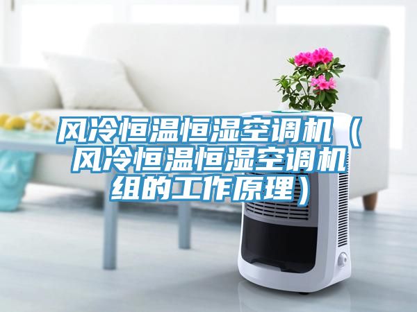 亚洲乱码一区二区三区 风冷恒温恒湿空调机（风冷恒温恒湿空调机组的工作原理）